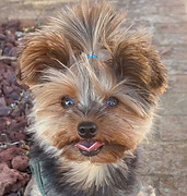 image000000 (8).jpg